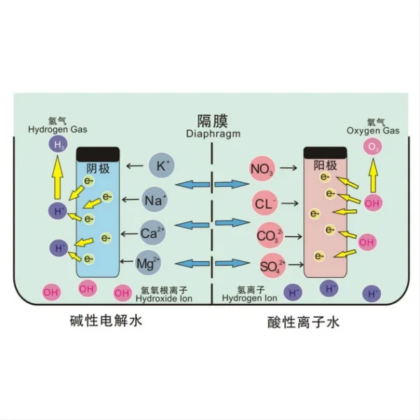 Ion membrane electrolyzer